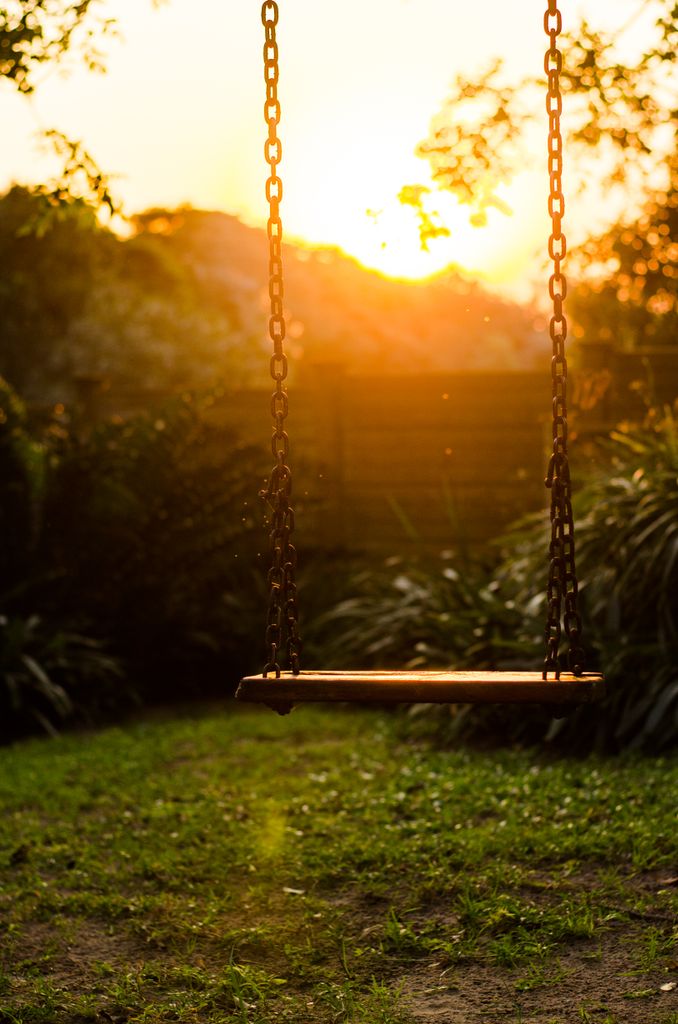 A serene empty swing hangs in a lush garden during sunrise, evoking tranquility.